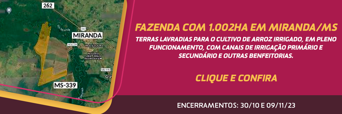 Maria Fixer Leilões Leilões